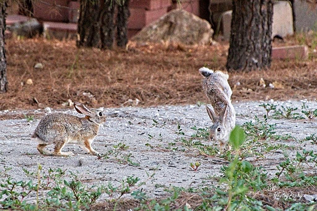 08-25-21-CR-_D502003-ON1.jpg