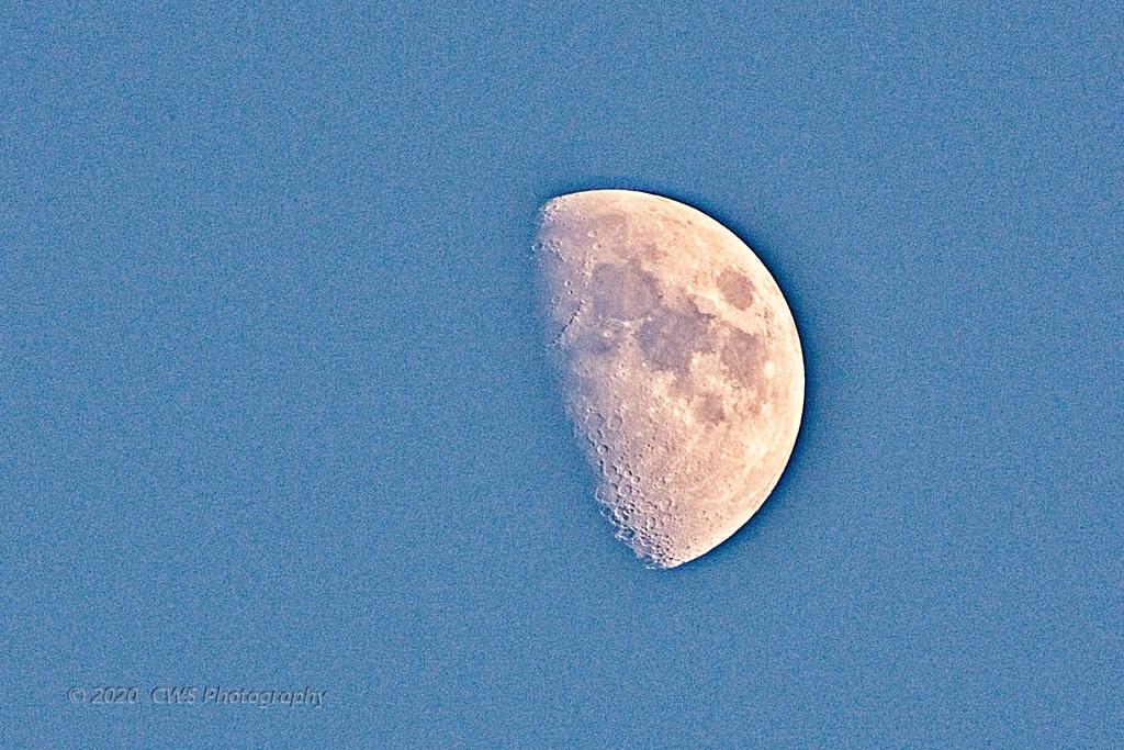 08-26-2020-crop-cr_D7K3862_ON1.jpg