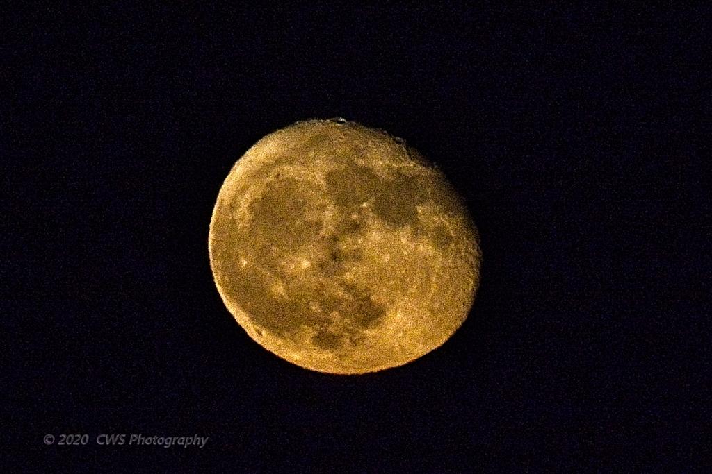 09-04-2020-cr_D7K3987-ON1.jpg