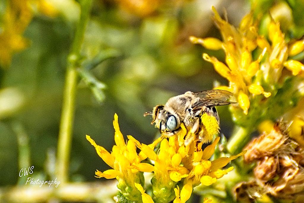 09-07-21-CR-_D502146-ON1.jpg