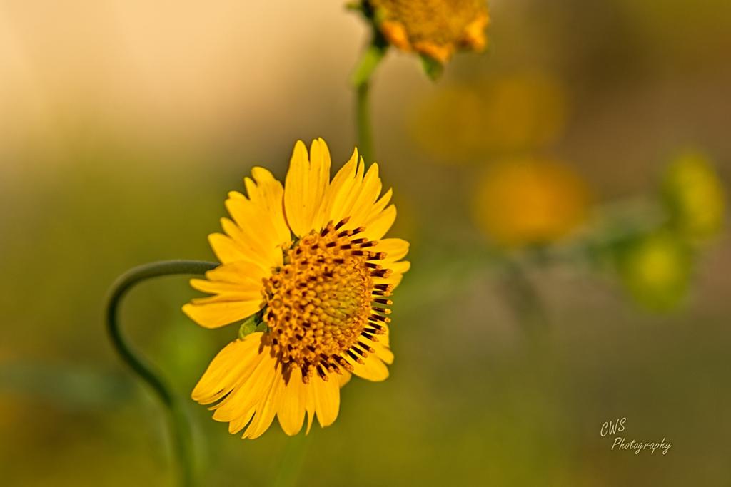 09-08-21-CR-_7505576-ON1.jpg
