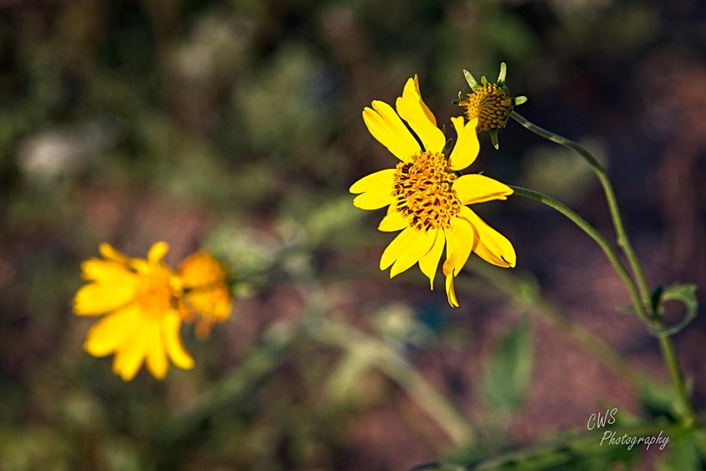 09-08-21-CR-_7505578-ON1.jpg