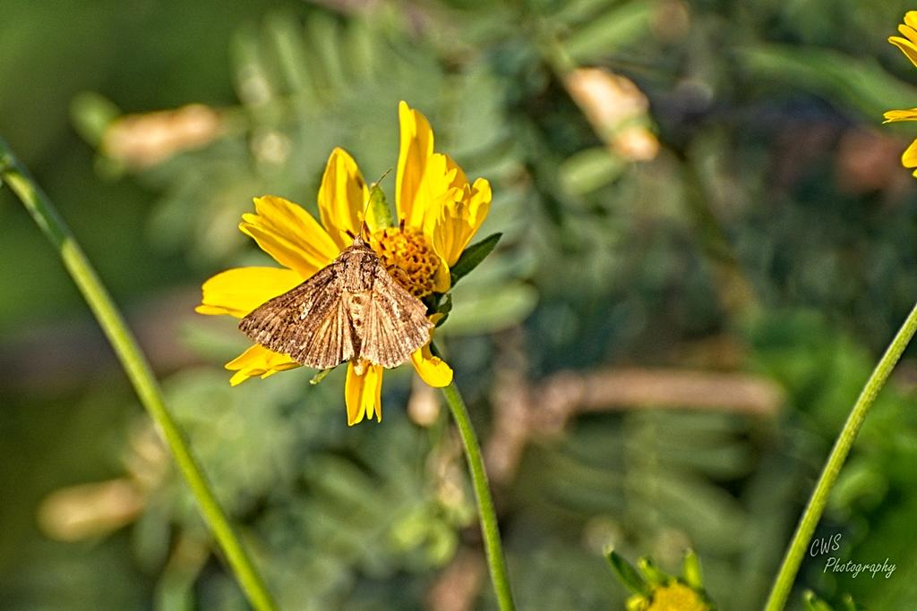 09-09-21-CR-_D502198-ON1.jpg