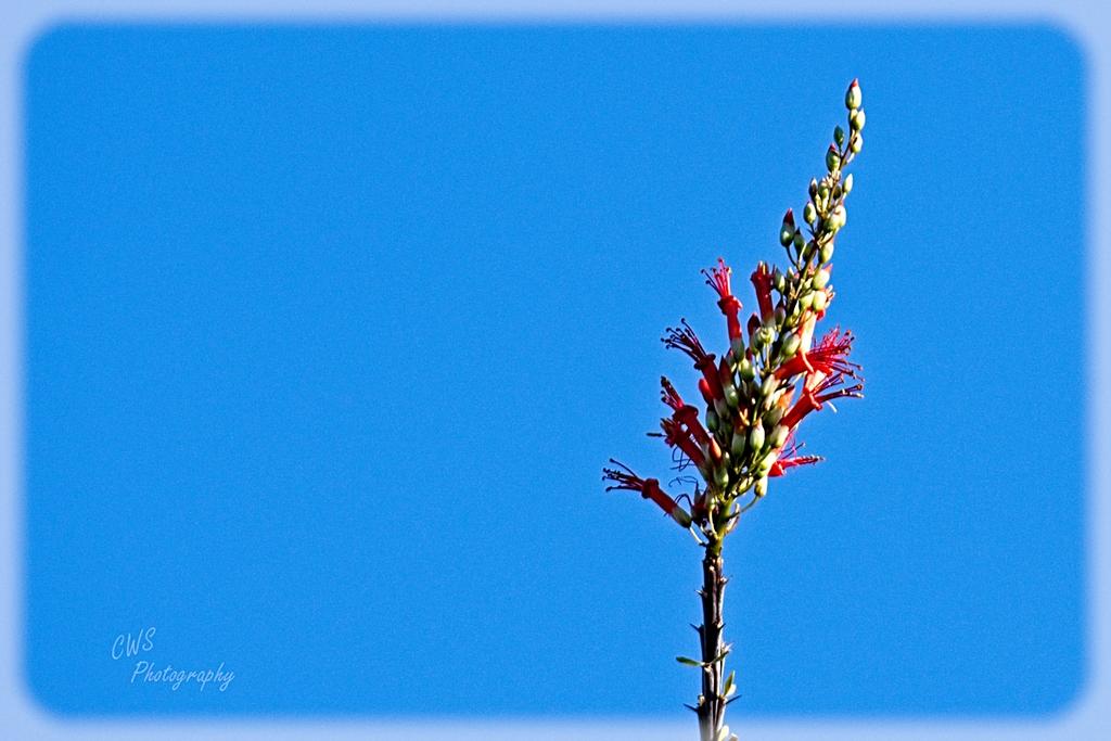 09-15-21-CR-_D502257-ON1.jpg