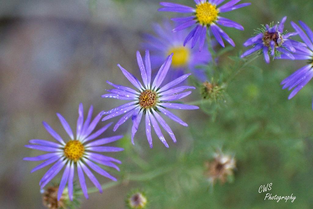 09-28-21-CR-_D502368-ON1.jpg