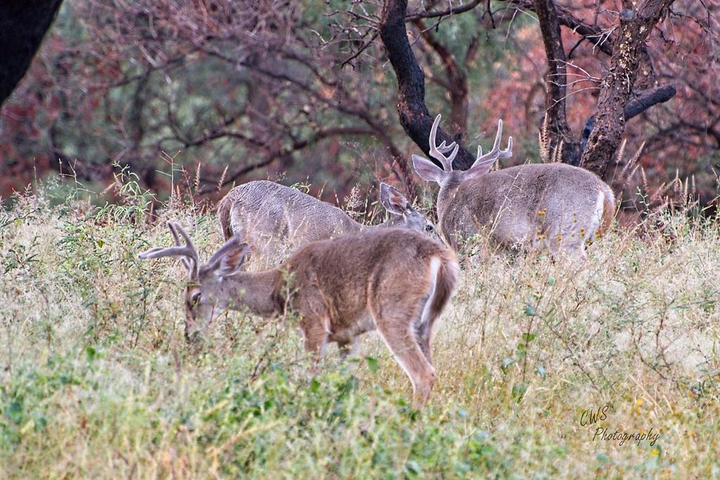 09-30-21-CR-_D502400-ON1.jpg