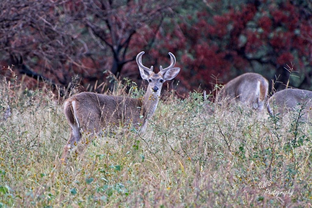 09-30-21-CR-_D502405-ON1.jpg