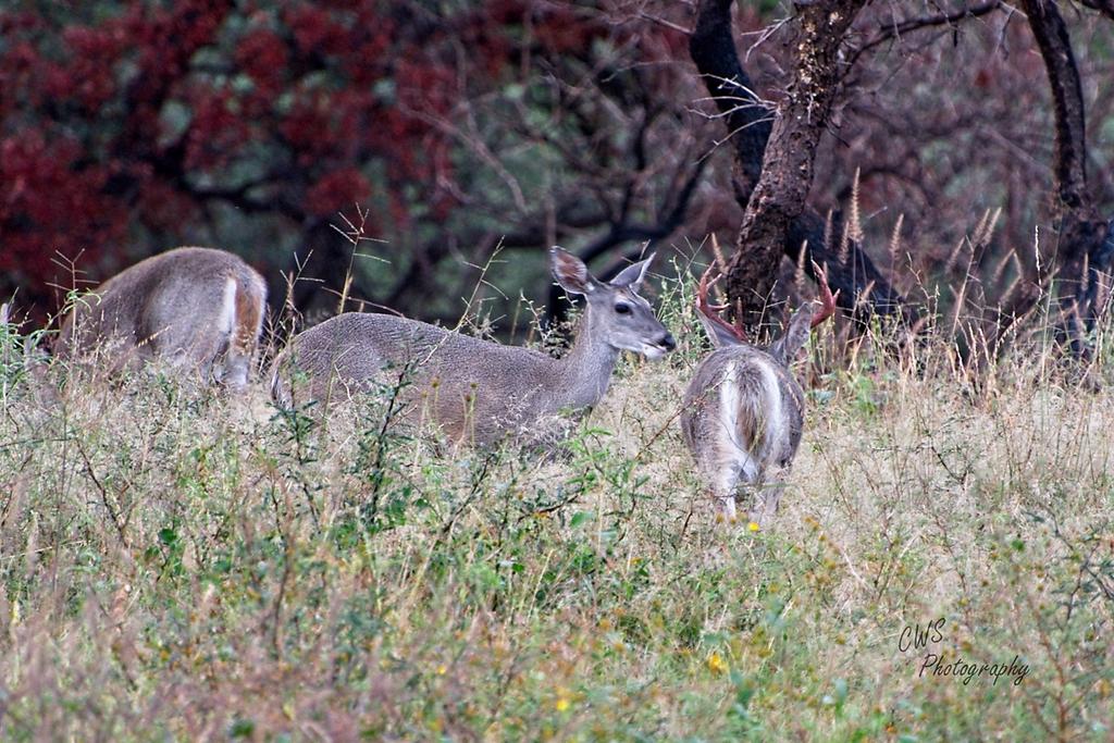 09-30-21-CR-_D502406-ON1.jpg
