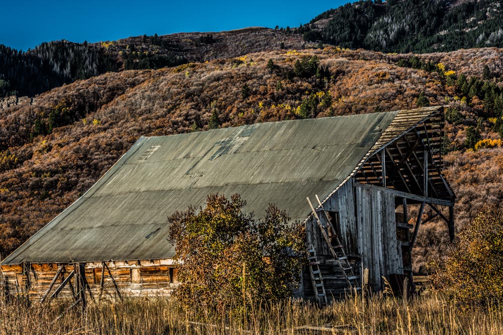 098-Edit.jpg