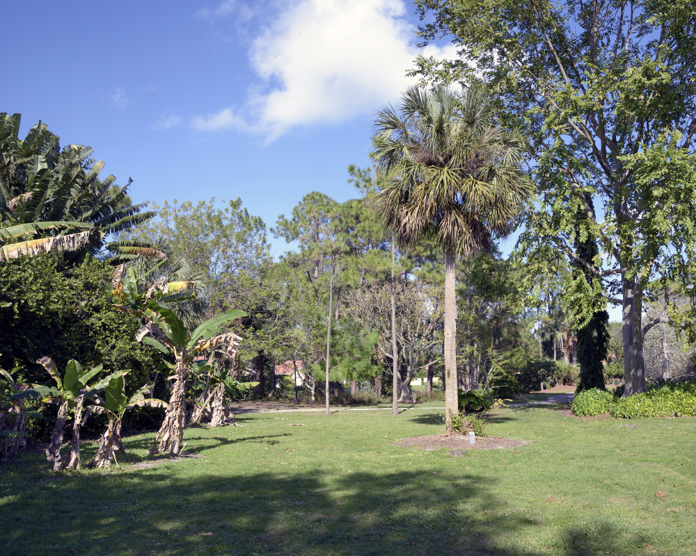 1-10-17 Tamron Tests 11Small_2244CMA  8-28-2015.JPG
