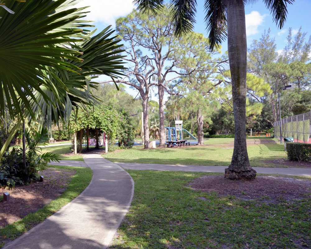 1-10-17 Tamron Tests 1Small_2234CMA  8-28-2015.JPG 1-10-17 Tamron Tests 1Small_2234CMA  8-28-2015.JPG