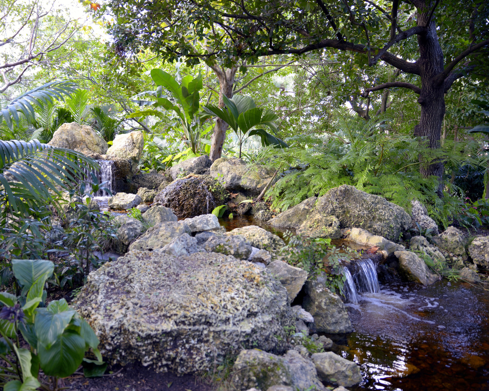 1-10-17 Tamron Tests 21Small_2254CMA  8-28-2015.JPG