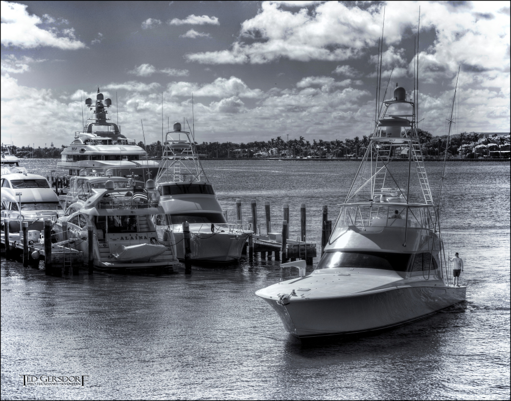 1-11-2016 Palm Beach     14BWSmall_2290CMA  1-11-17.JPG