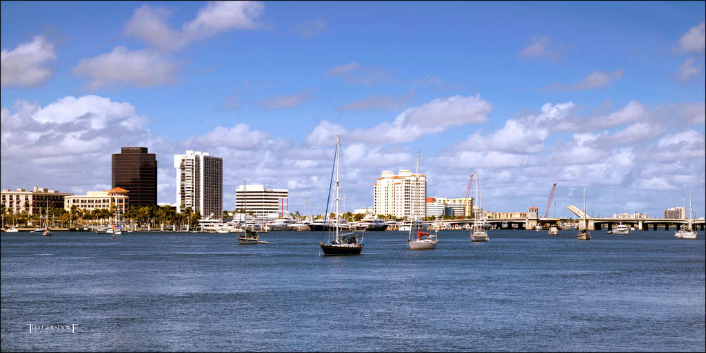 1-11-2016 Palm Beach     15Small_2278CMA  1-11-17.jpg