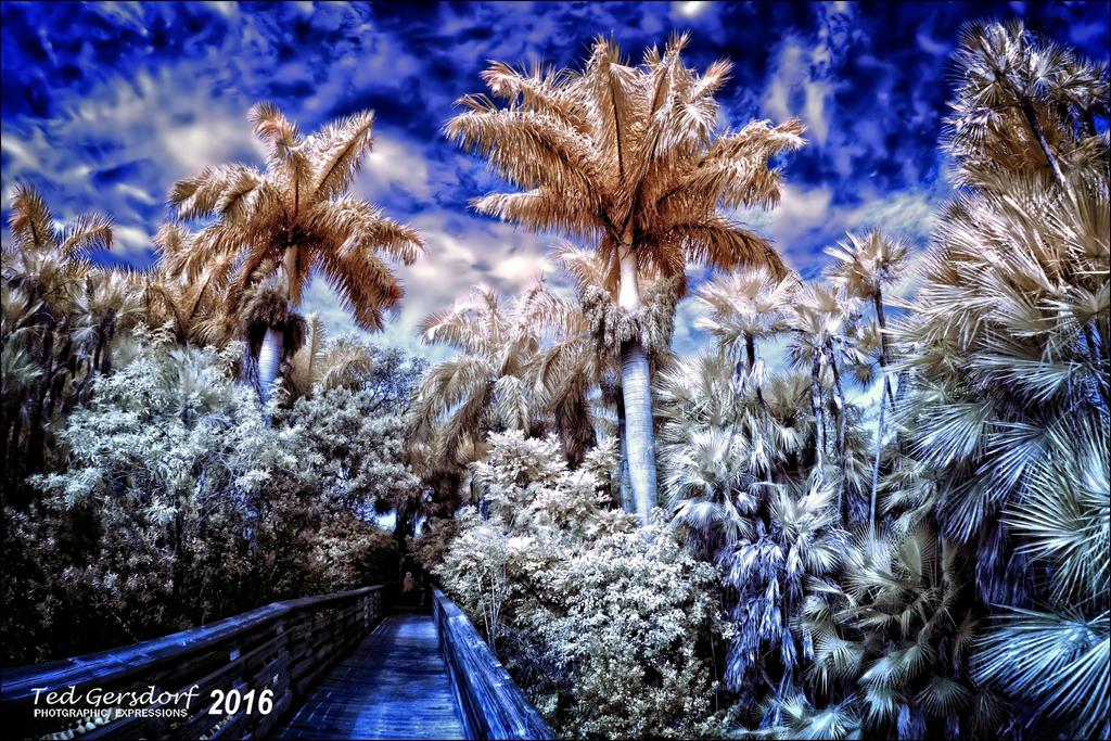1-13-16 Green Cay IR    2.jpg