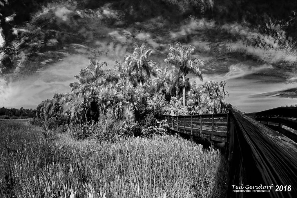 1-13-16 Green Cay IR    3.1.jpg