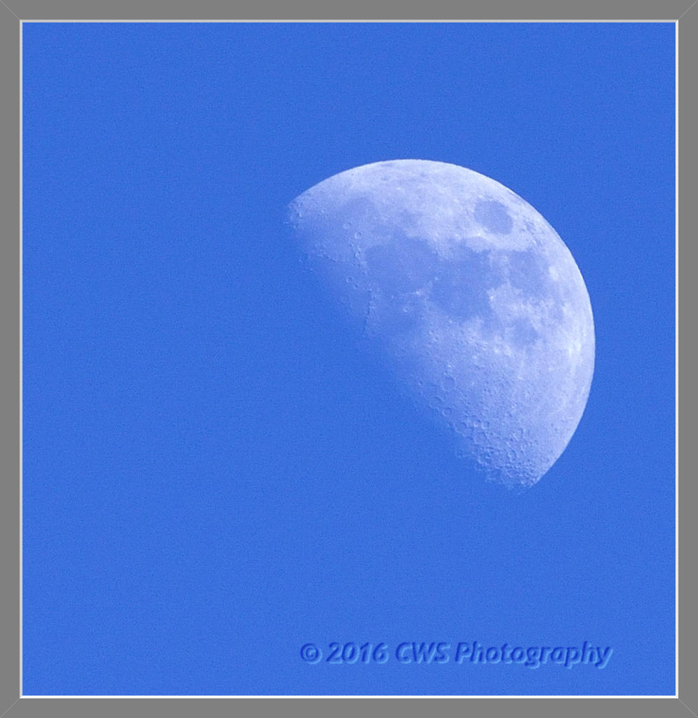 1-17-2016-cr__D7K0769.jpg