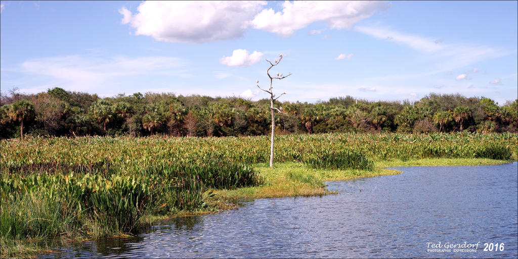 1-20-16 Green Cay A7 2.jpg