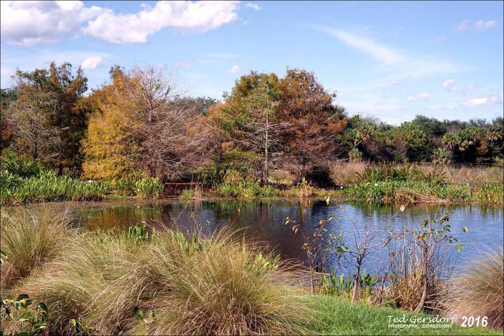 1-20-16 Green Cay A7 4.jpg