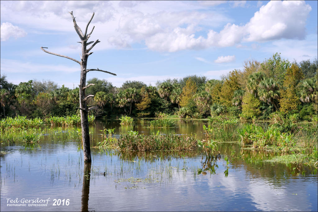 1-20-16 Green Cay A7 9.jpg