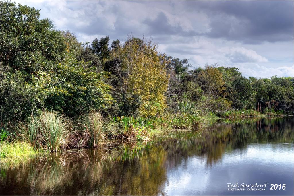 1-20-16 Green Cay A7 HDR   13.jpg