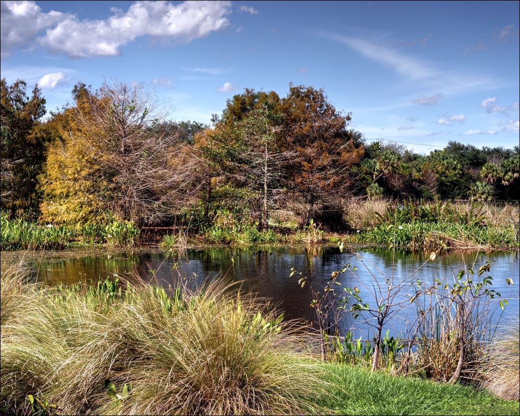 1-20-16 Green Cay A7 HDR   4.jpg