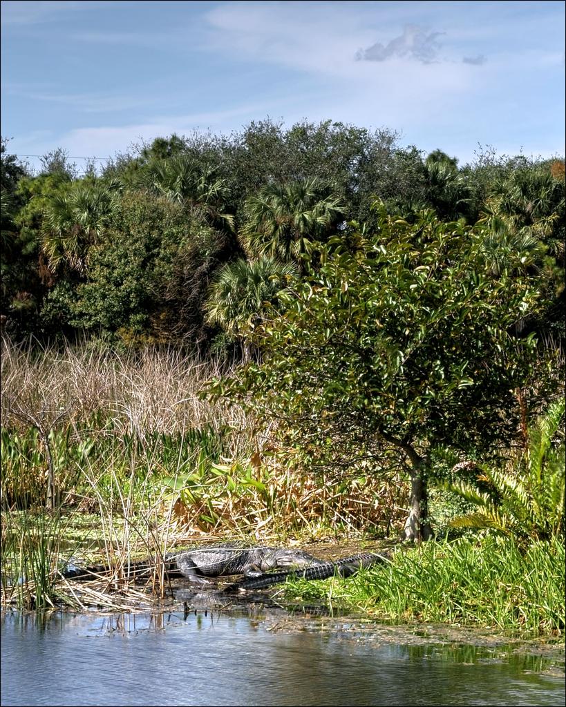 1-20-16 Green Cay A7 HDR   7.jpg