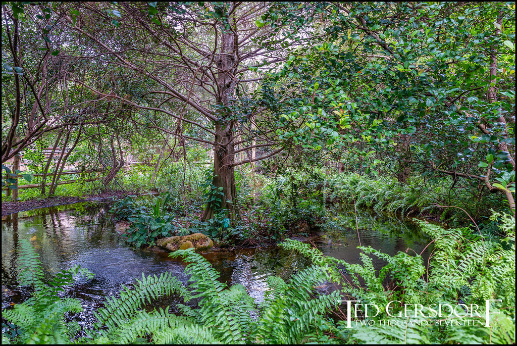 1-21-17 Arboretum  LR 1 (1 of 1)-6.jpg