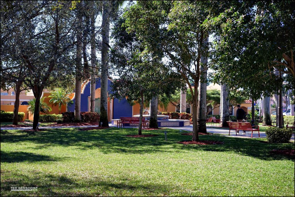 1-28-15 Mizner   1.jpg