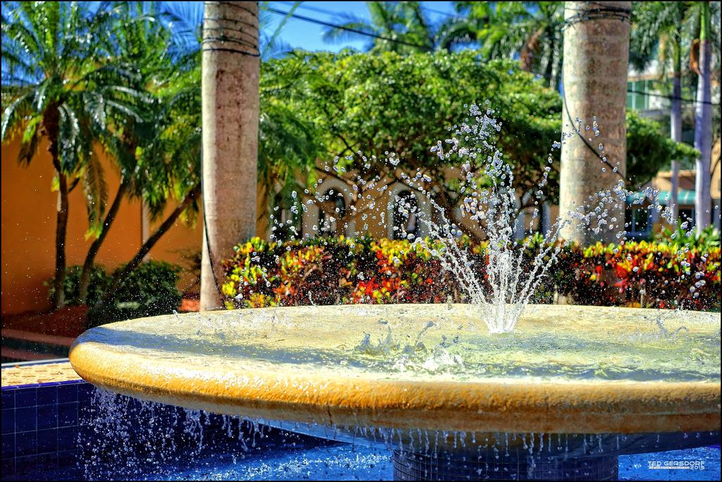 1-28-15 Mizner   14.jpg
