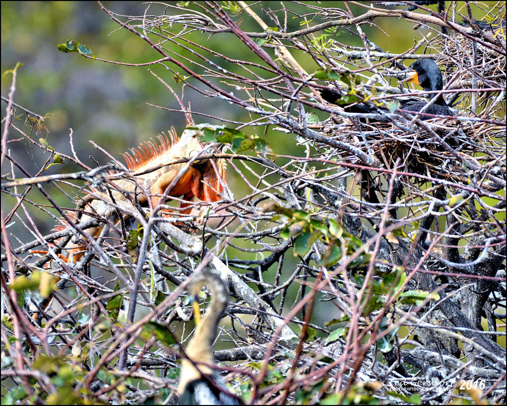 1-30-16 Wetlands   26.jpg