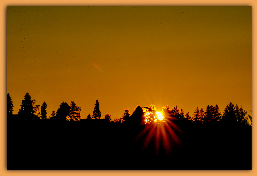 1-600_0001.jpg