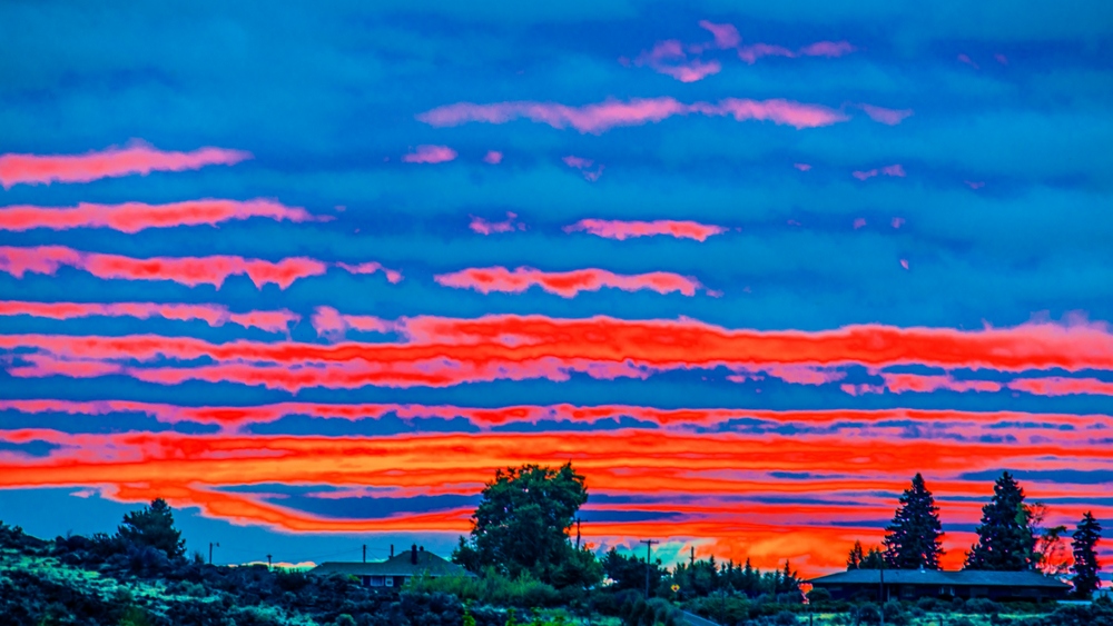 1-600_9988-Edit.jpg