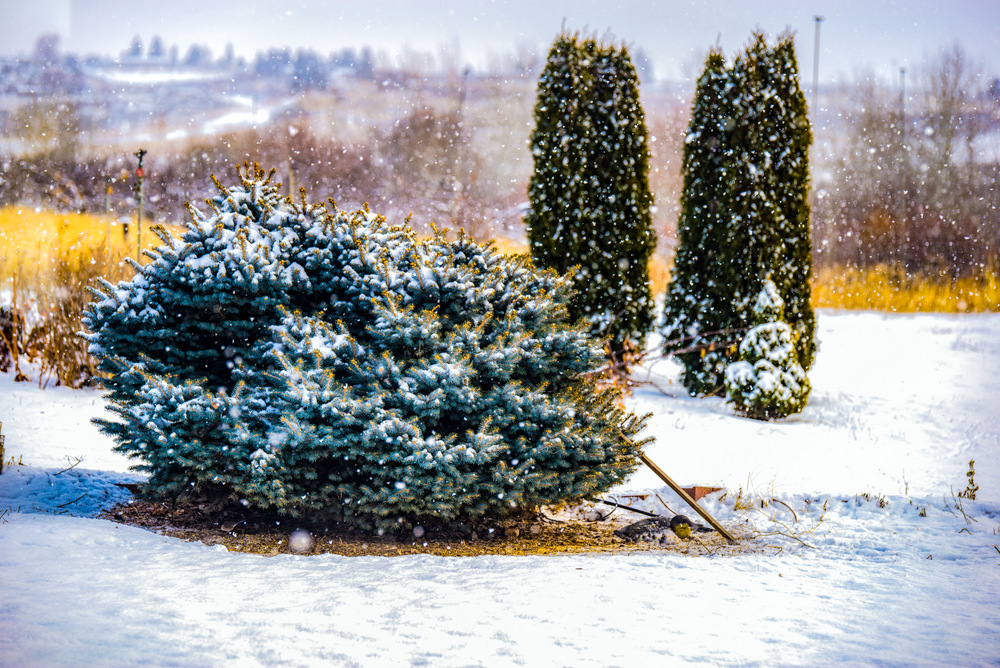 1-610_4532-Edit.jpg
