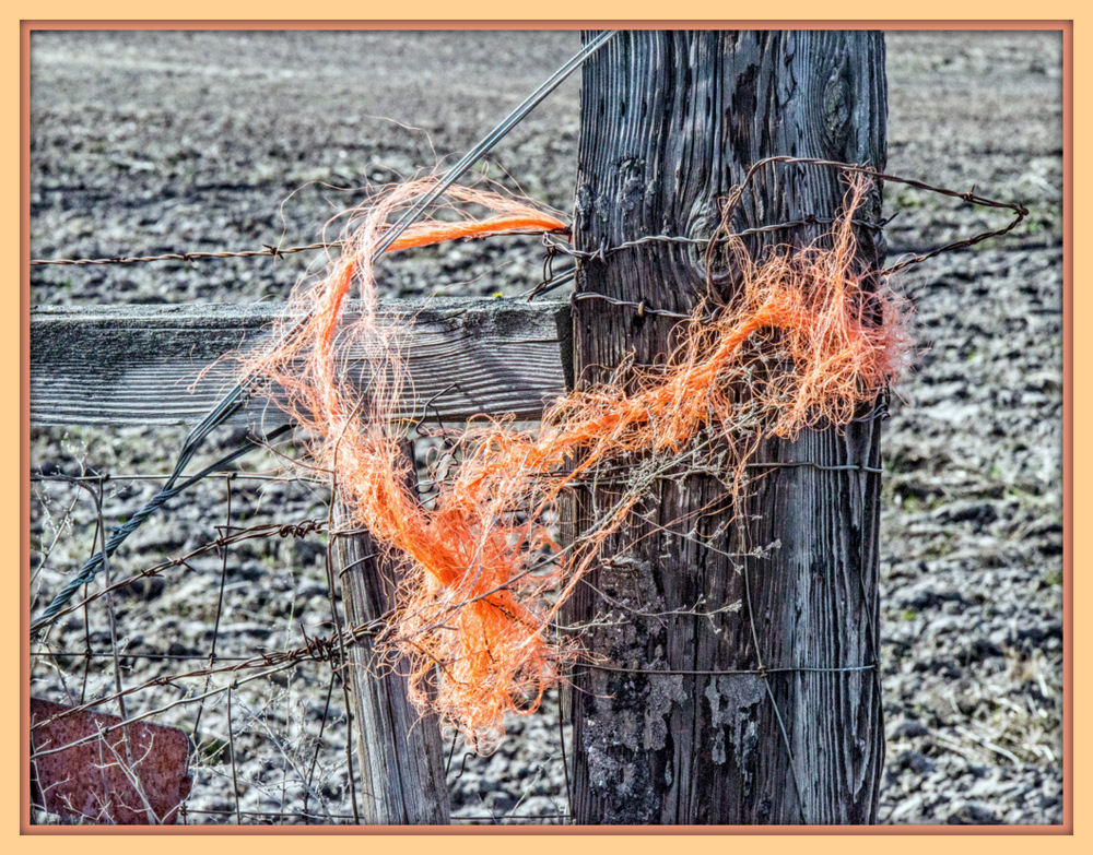 1-610_4670-Edit.jpg
