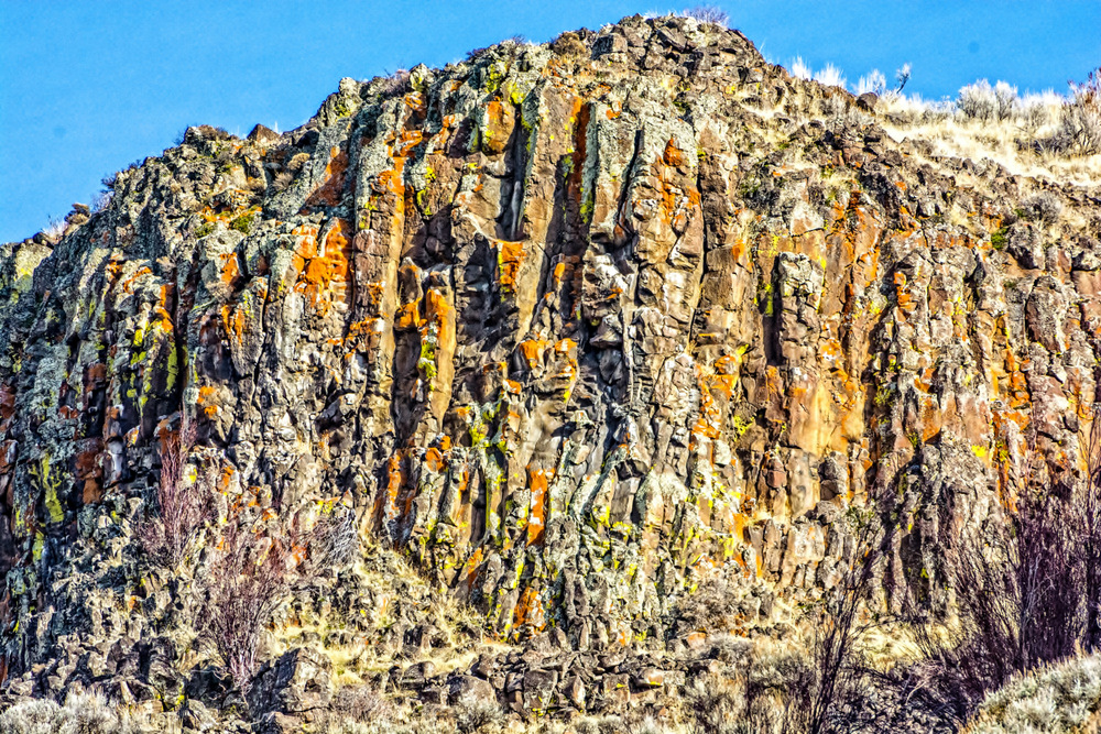 1-710_3409-Edit.jpg