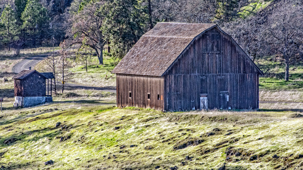 1-710_3925-Edit.jpg