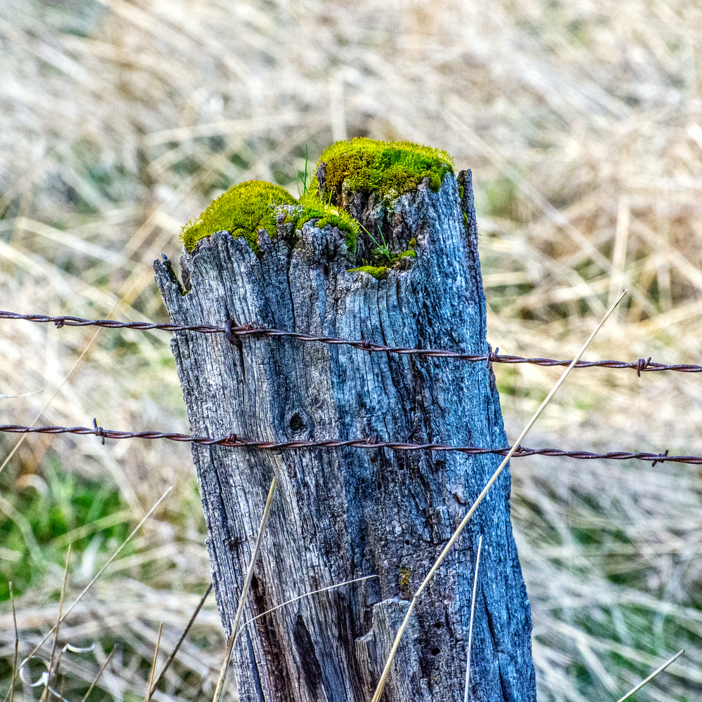 1-710_3936-Edit-2.jpg