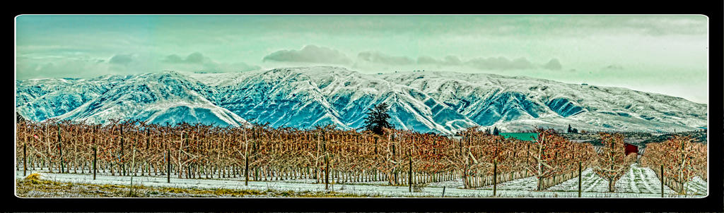 1-710_7059-Pano-Edit-2.jpg