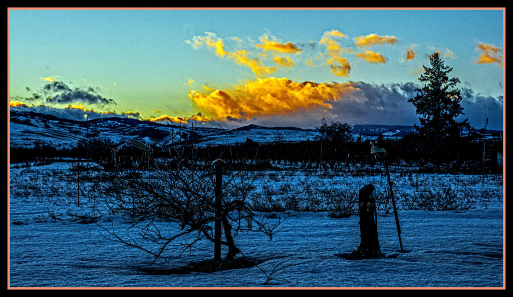 1-710_7915-Edit.jpg