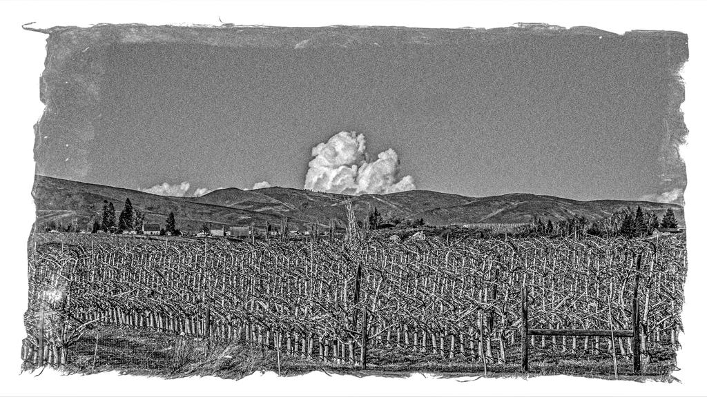 1-710_7998-Edit.jpg