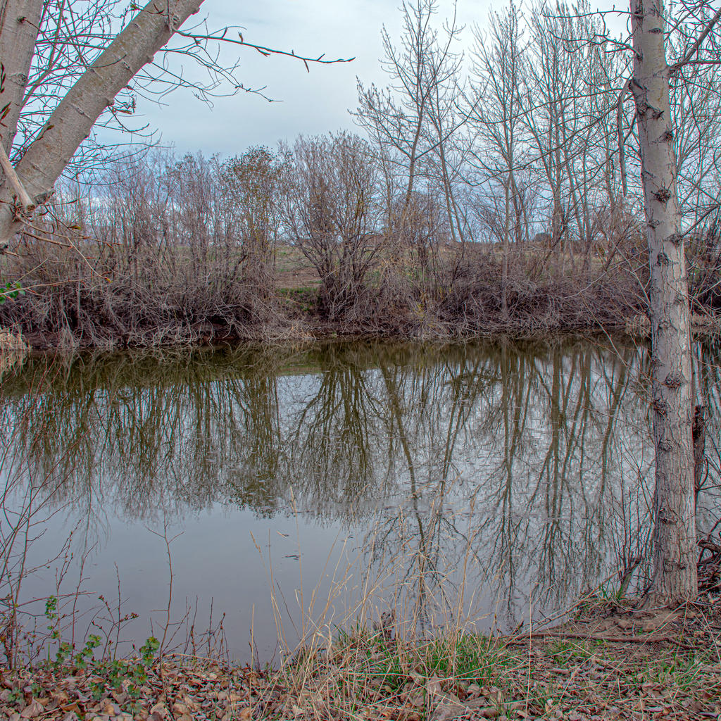 1-710_8121.jpg