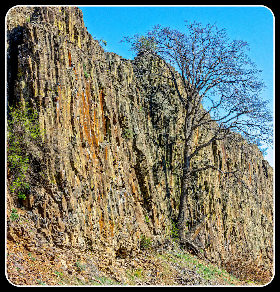 1-710_8271-2-Pano-Edit.jpg