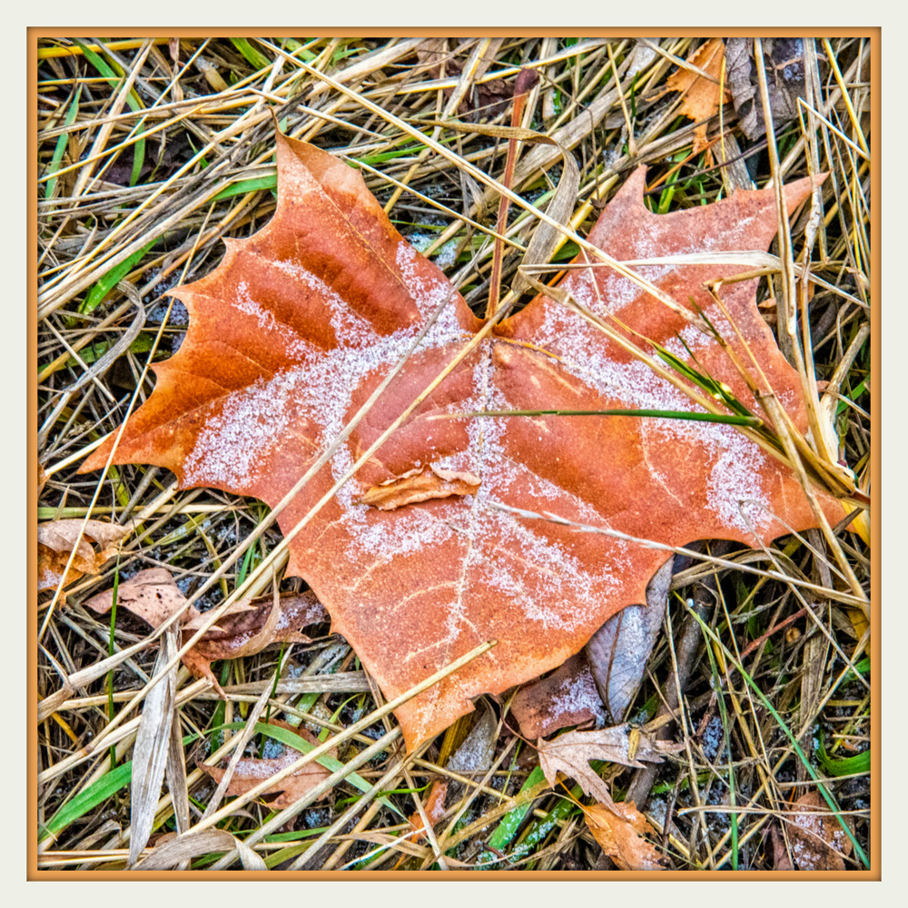 1-750_4809-Edit.jpg