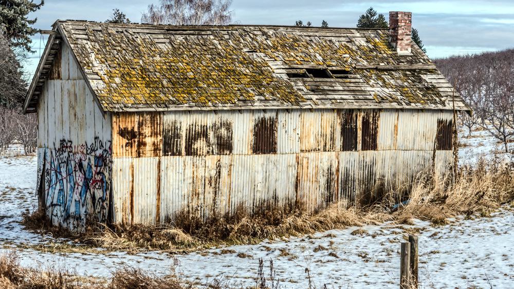 1-750_5220-Edit.jpg