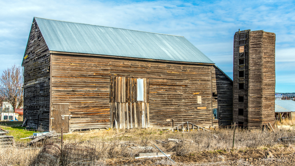1-750_6030-Edit.jpg