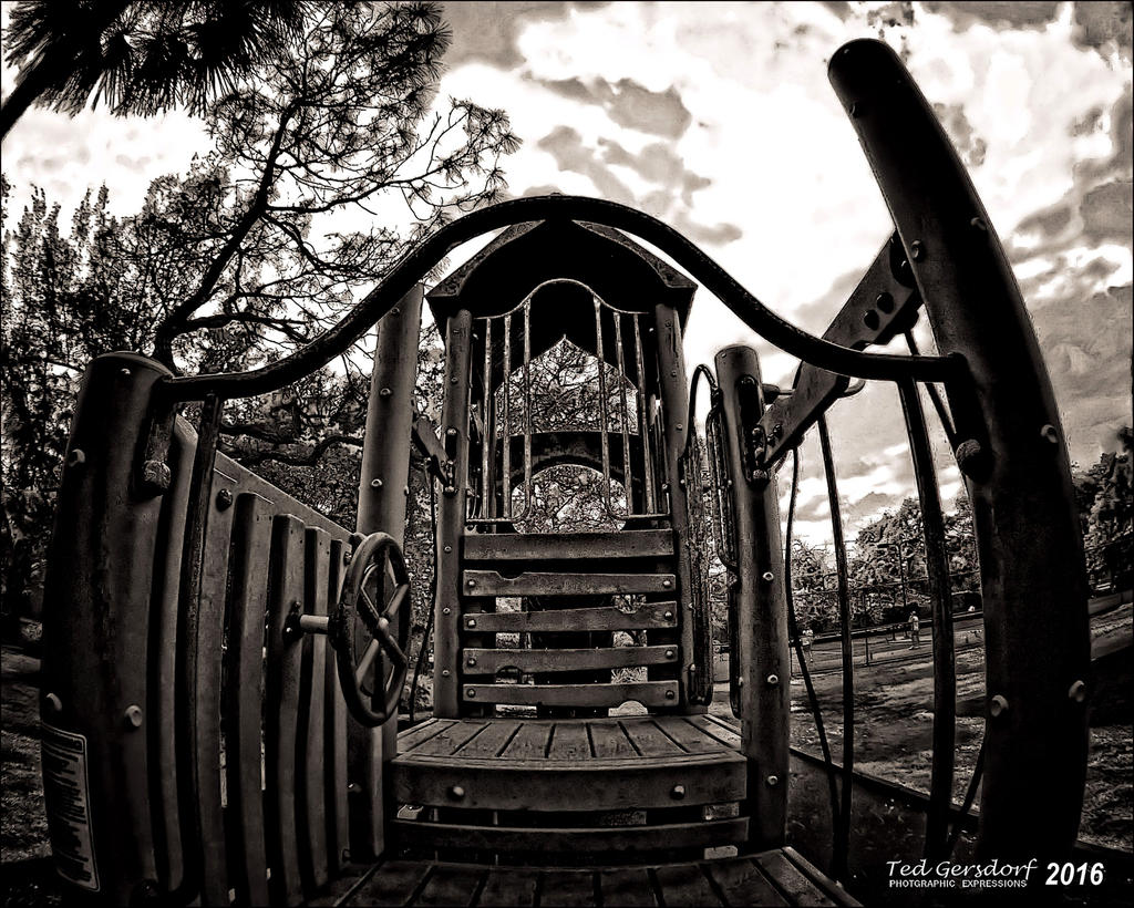1-8-15 Arboredum IR Fisheye     2BW.jpg