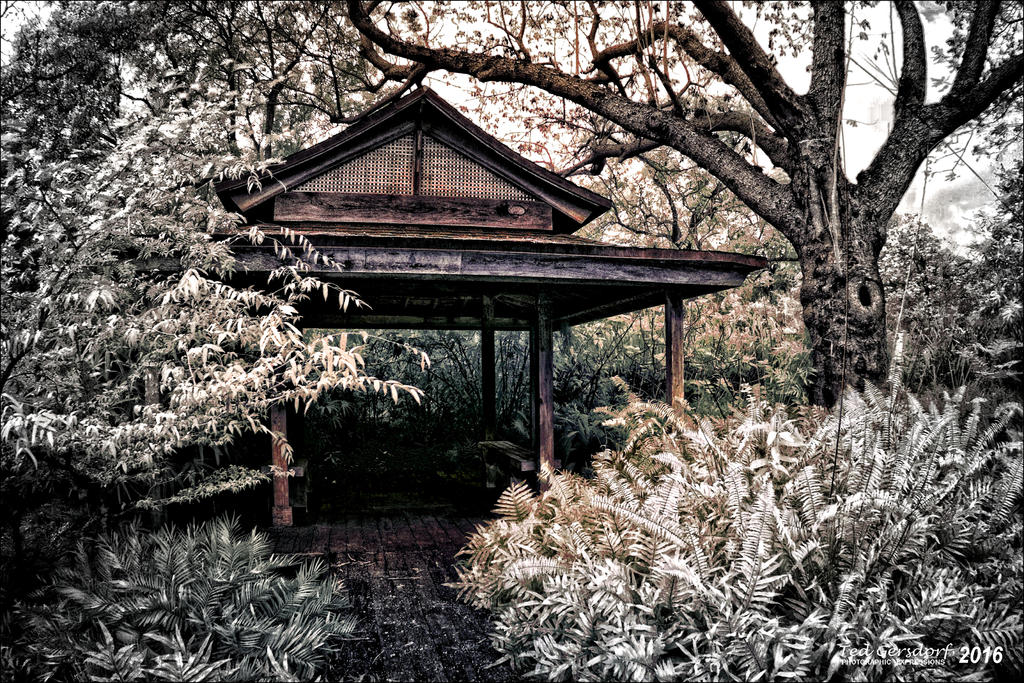 1-8-15 Arboredum IR Fisheye     9.1.jpg