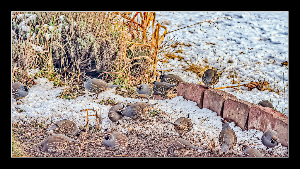 1-_7504777-Edit.jpg
