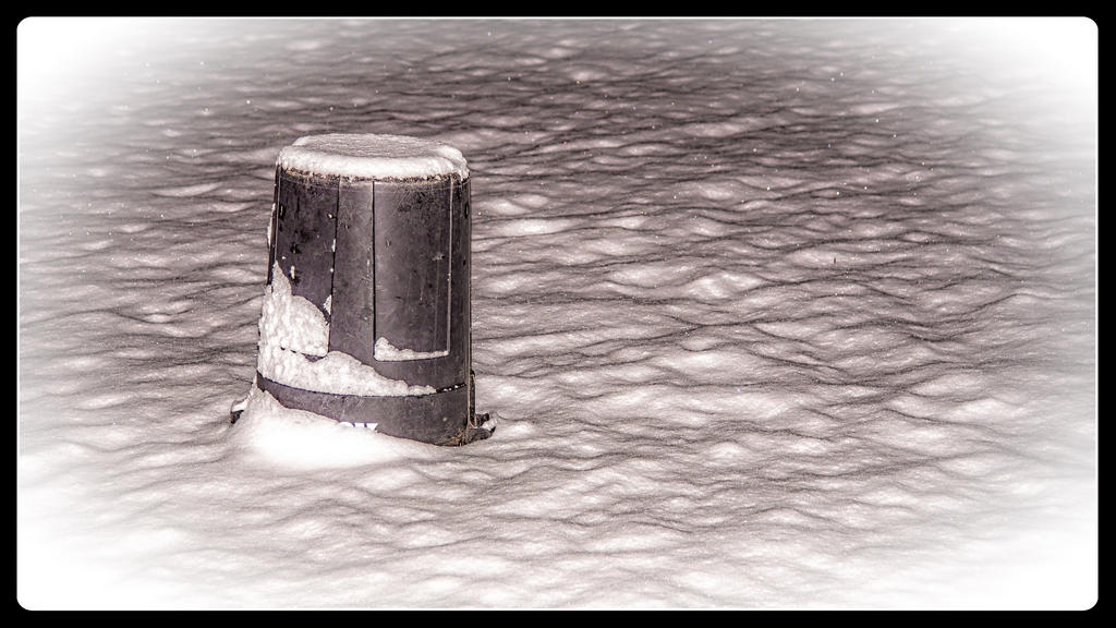 1-_7504797-Edit.jpg